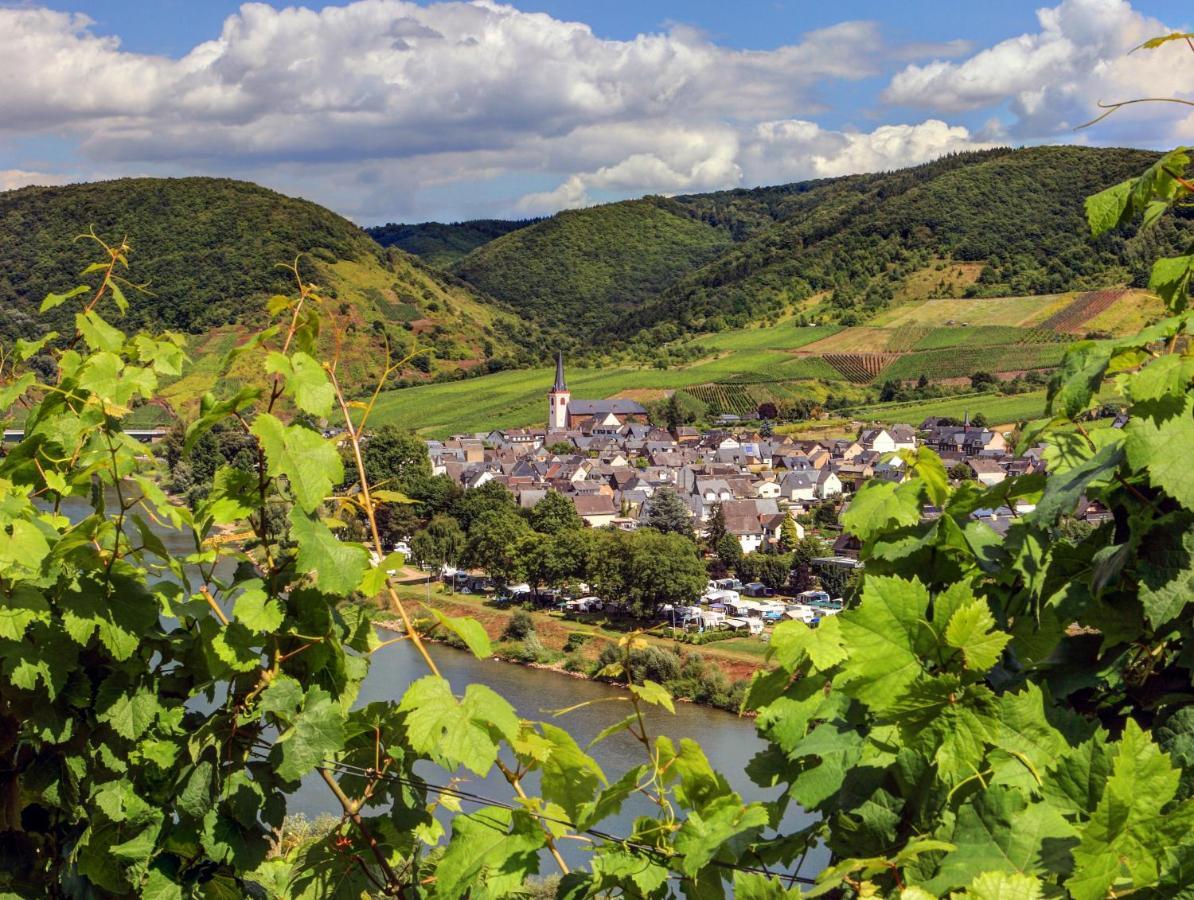 Moselhof Ferienwohnungen 布鲁蒂凡科 外观 照片